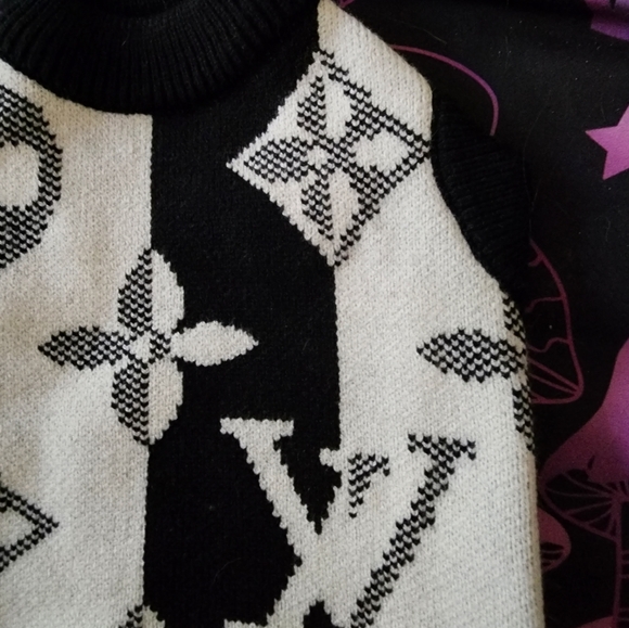 New Louisvuitton Dog Sweater 🐕❤️ - Picture 9 of 14